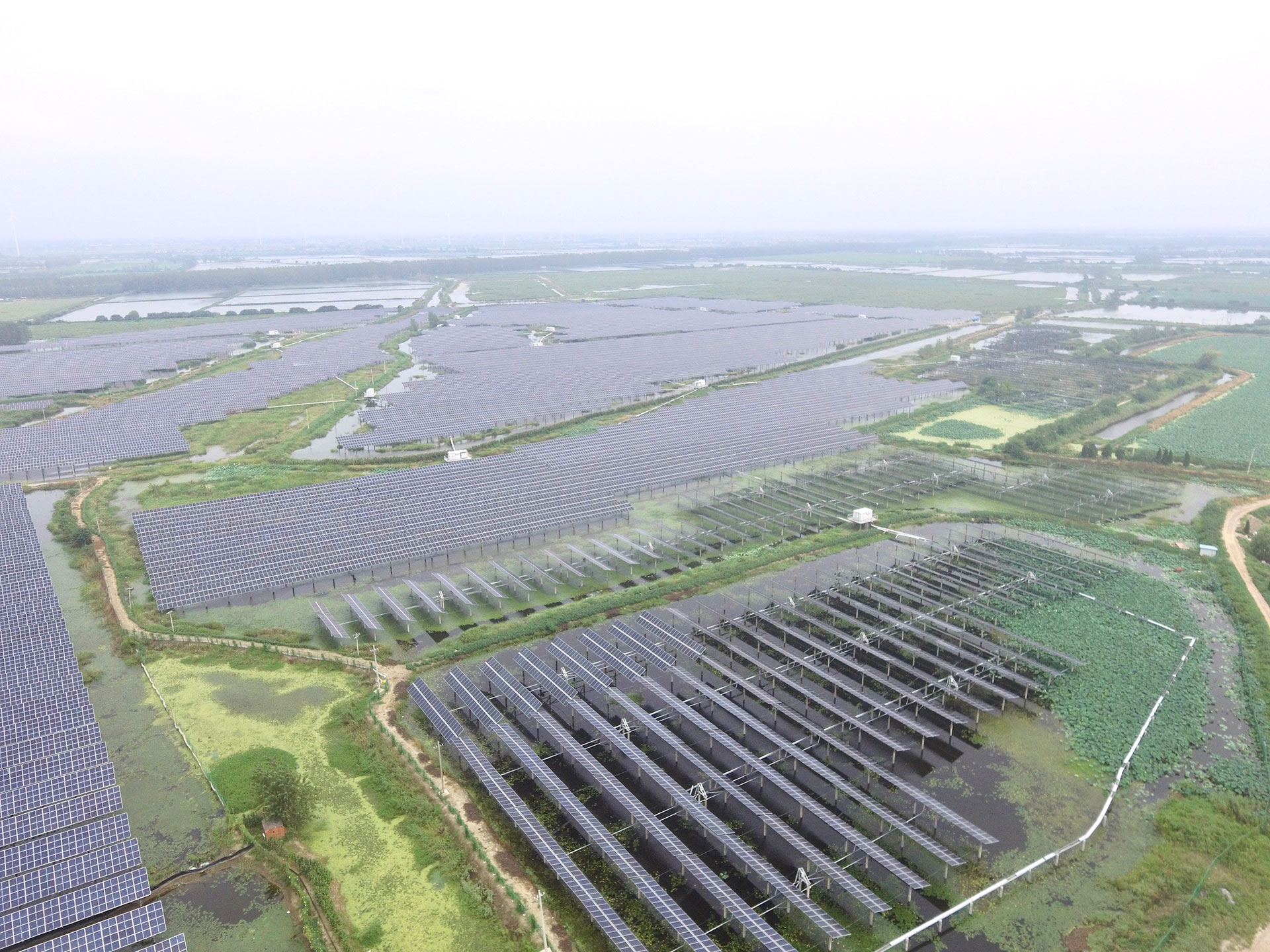乐鱼科技江苏扬州宝应光伏发电应用领跑基地2号100兆瓦项目